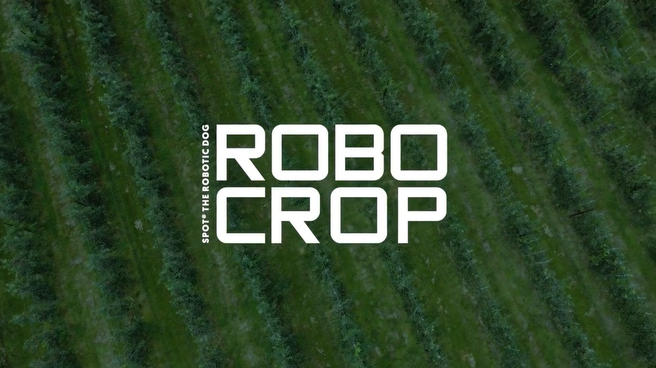 Video Thumbnail - Robocrop